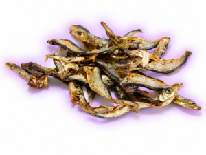 Snack pescado perro